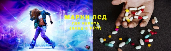 PSILOCYBIN Алзамай
