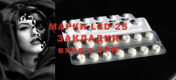 PSILOCYBIN Алзамай