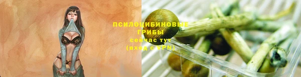 прущие грибы Алексин