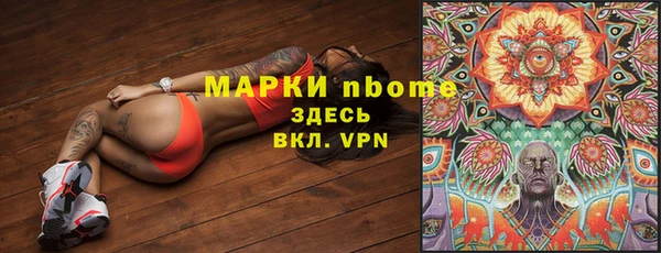 прущие грибы Алексин