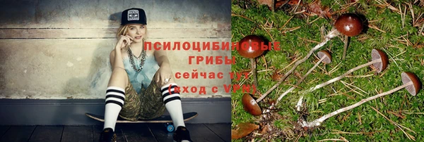 PSILOCYBIN Алзамай