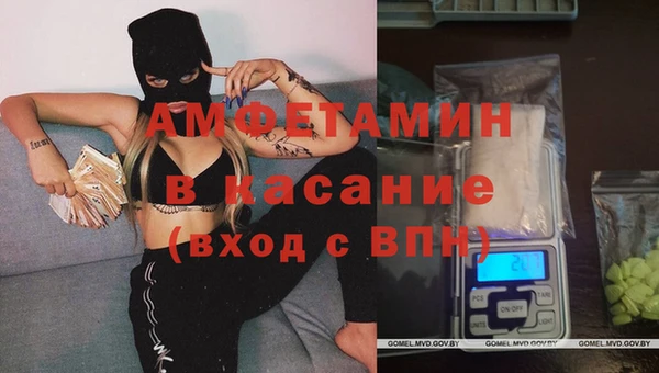 прущие грибы Алексин